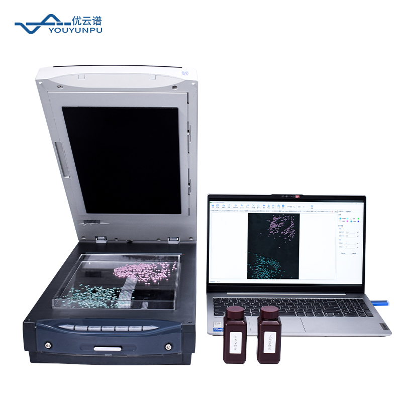 大米加工精度檢測儀：原理、方法與應用價值